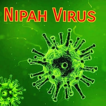 Ilustrasi Virus Nipah Sumber: dok. ig@nipah.virus