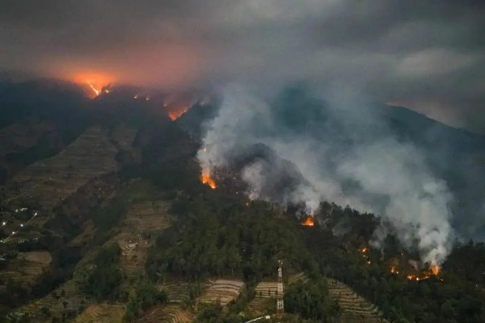Potret kebakaran di taman nasional Gunung Merbabu Sumber:dok. Ig@pendakilawas